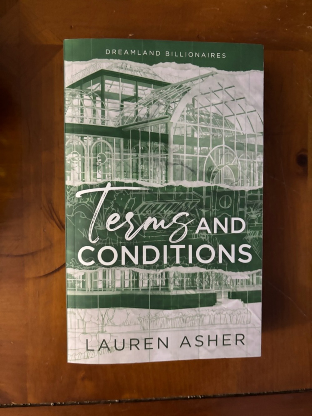 Terms and Conditions by Lauren Asher - Green Paperback